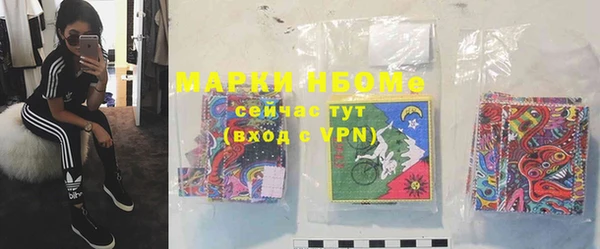 дмт Алексин