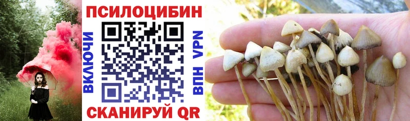 Псилоцибиновые грибы ЛСД  Елец 